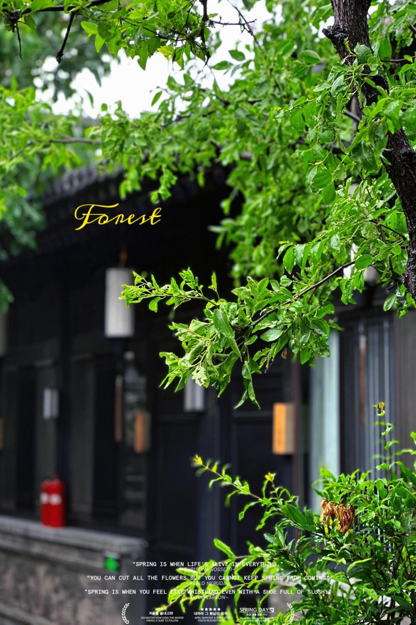 Elsewhere Hotel Inn North Street Branch Пиняо Екстериор снимка